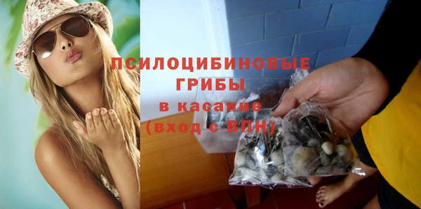 прущая мука Богородицк