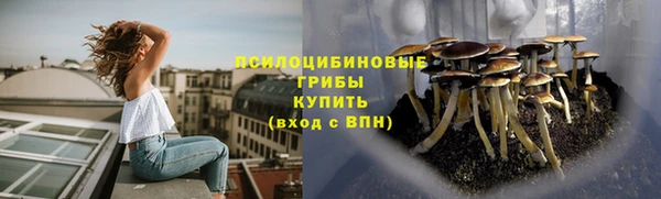 кристаллы Богданович