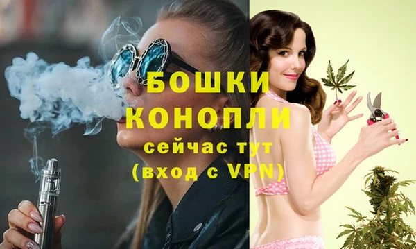 спайс Богородск