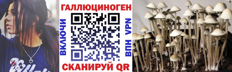 Псилоцибиновые грибы Psilocybe Волжский