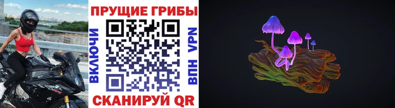 купить наркоту  Волжский  Псилоцибиновые грибы прущие грибы 